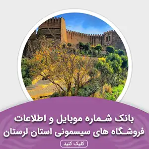 بانک اطلاعات مشاغل فروشگاه های سیسمونی استان لرستان