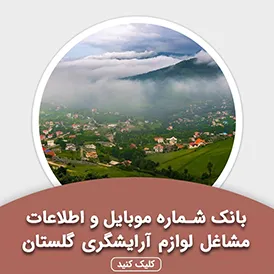 بانک اطلاعات مشاغل لوازم آرایشگری گلستان
