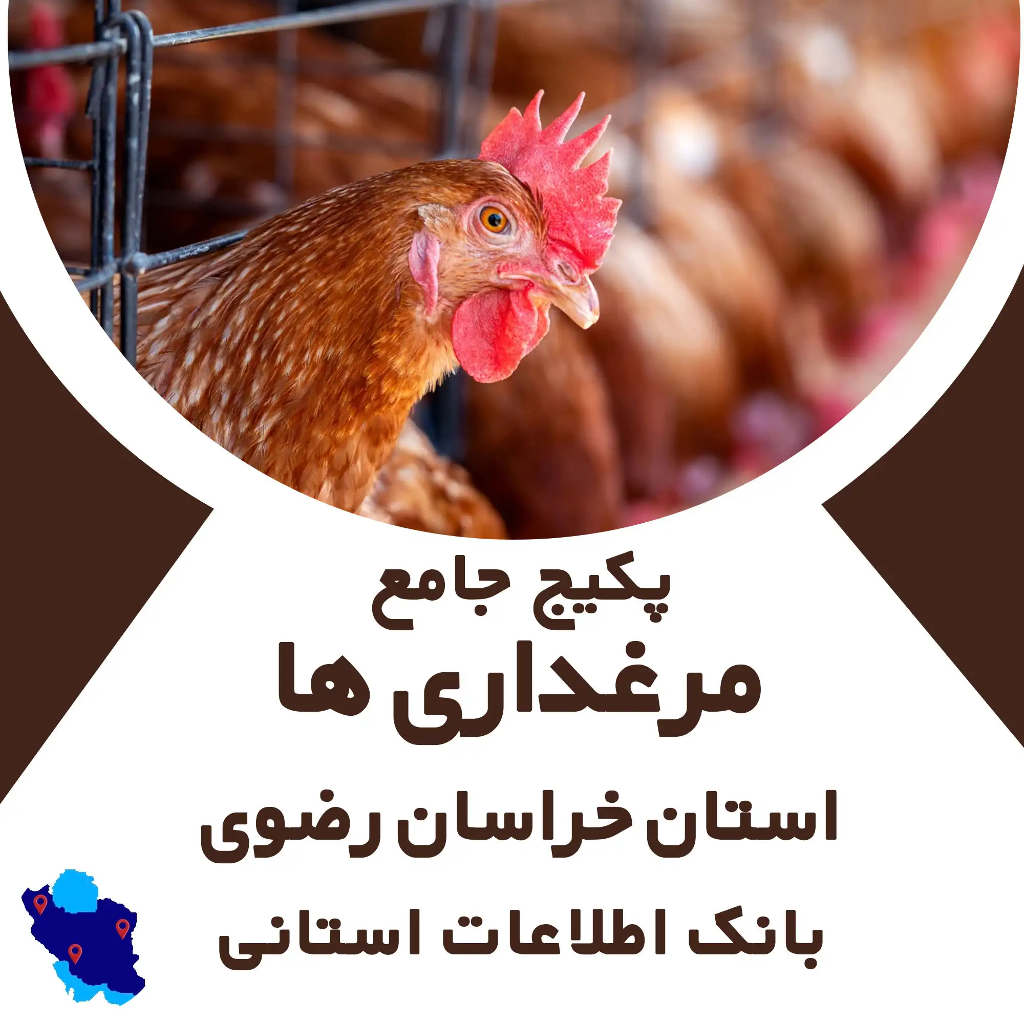 بانک اطلاعات لوازم مرغداری استان خراسان رضوی