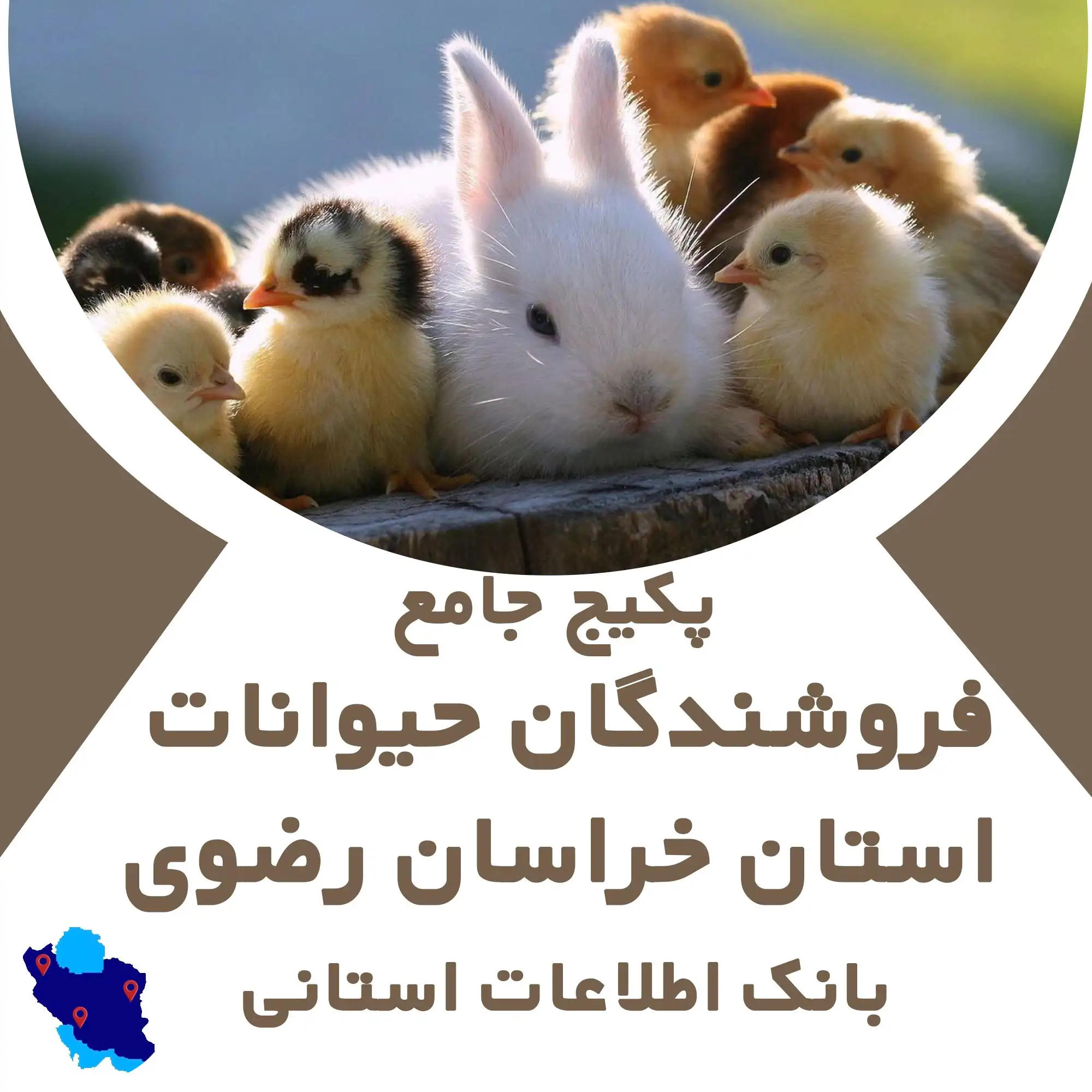 بانک اطلاعات فروش حیوانات استان خراسان رضوی