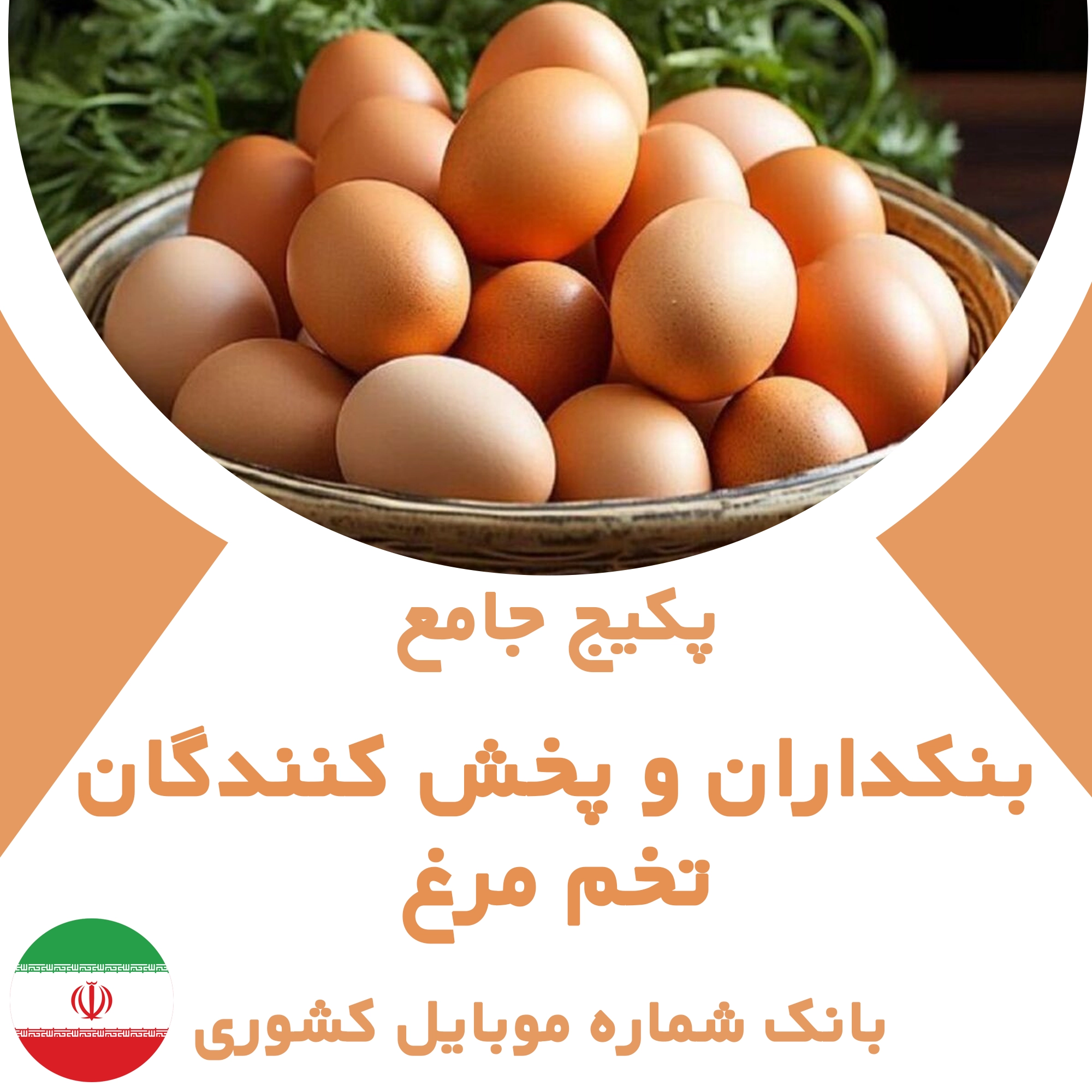بانک شماره موبایل بنکداران و پخش کنندگان تخم مرغ