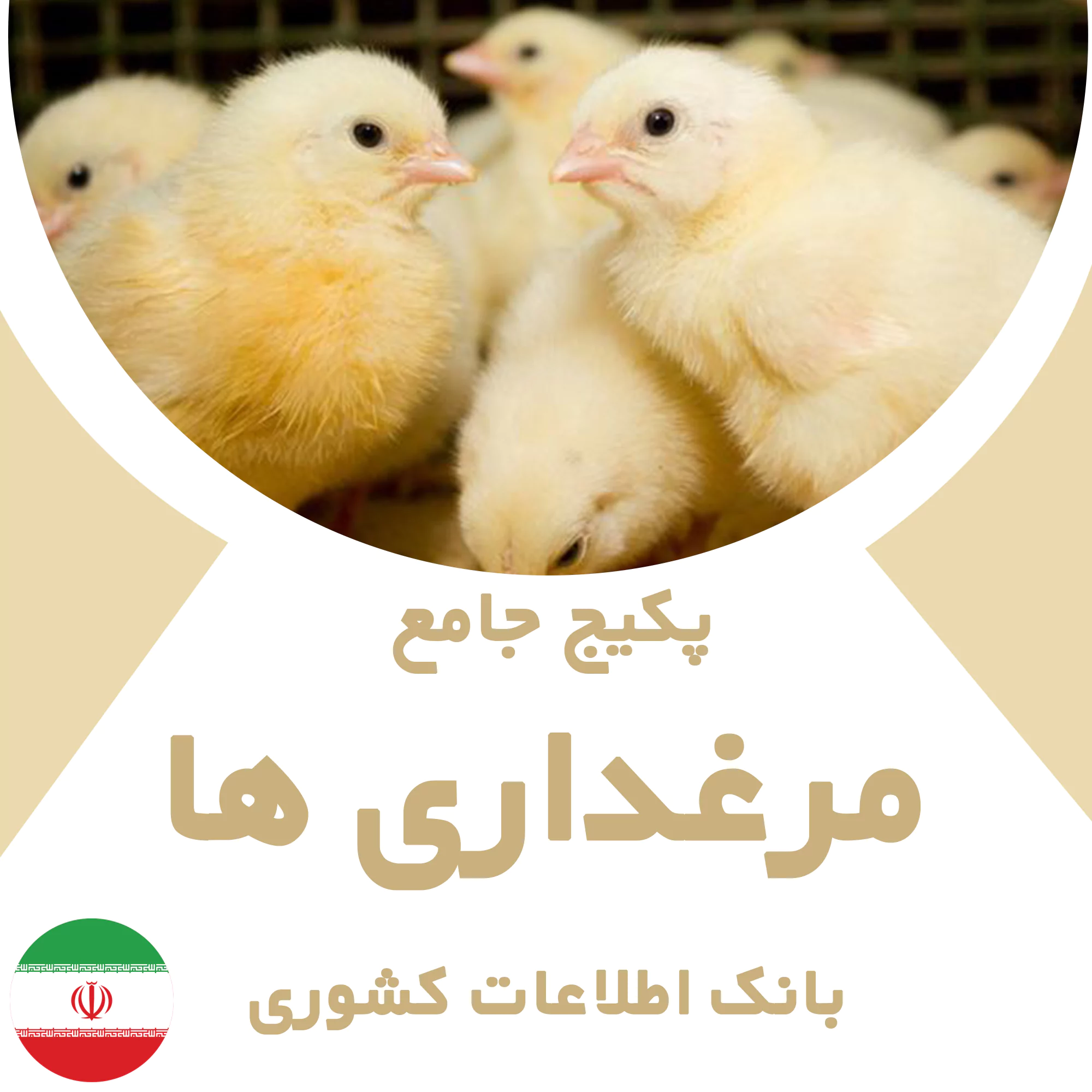 بانک اطلاعات مرغداری های کشور