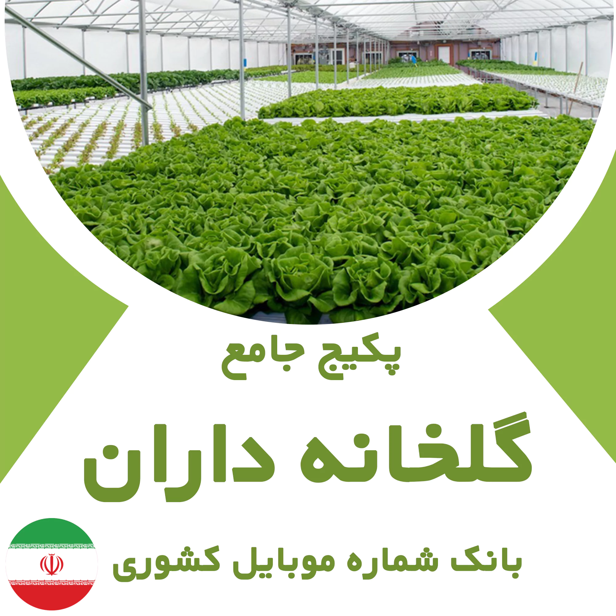 بانک شماره موبایل گلخانه داران کشور